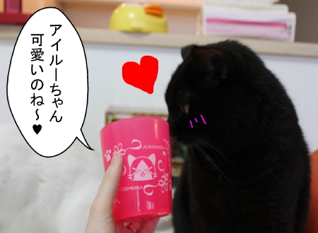 アイルー02