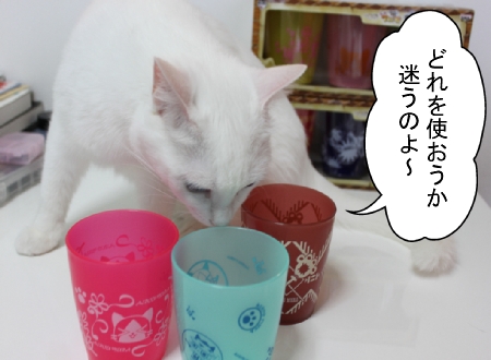 アイルー03