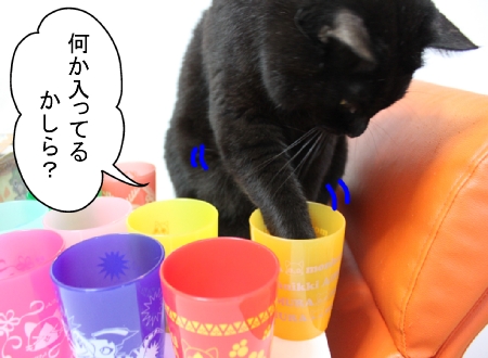 アイルー04
