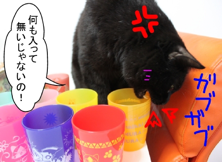 アイルー05